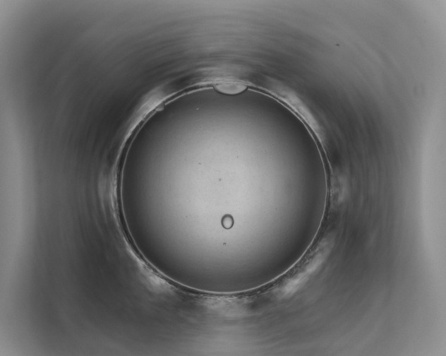 X0000111580909200907161422
