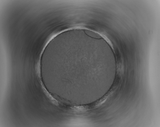 X0000111580911200907161422