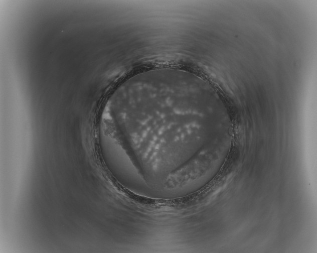 X0000111580913200907161421