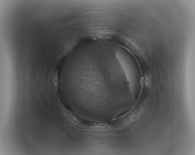 X0000111580915200907161422