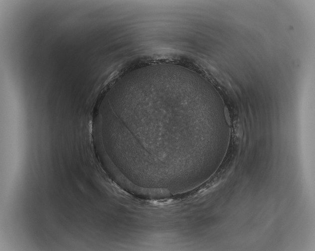 X0000111580916200907161422