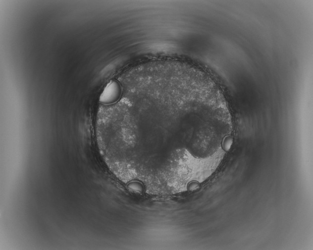X0000111580918200907161422
