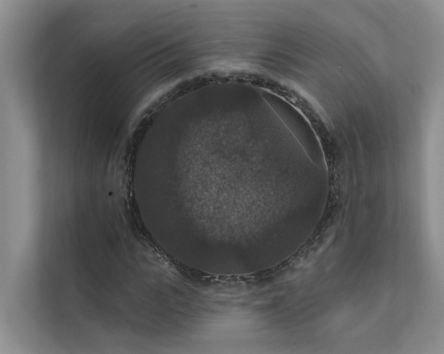 X0000111580919200907161422