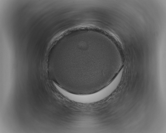 X0000111580920200907161422