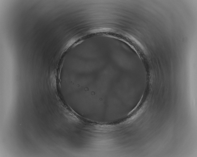 X0000111580921200907161422