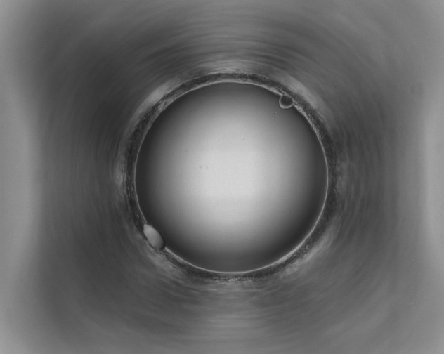 X0000111580922200907161422