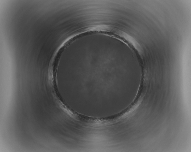 X0000111580923200907161422