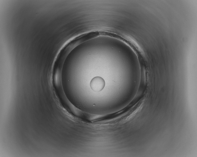 X0000111580924200907161422