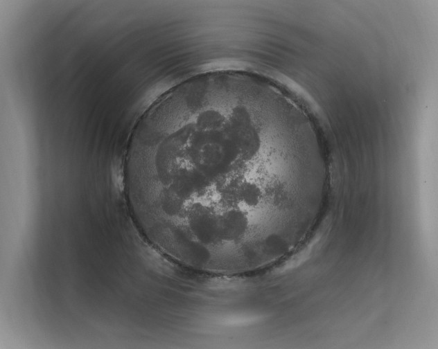 X0000111580929200907161422