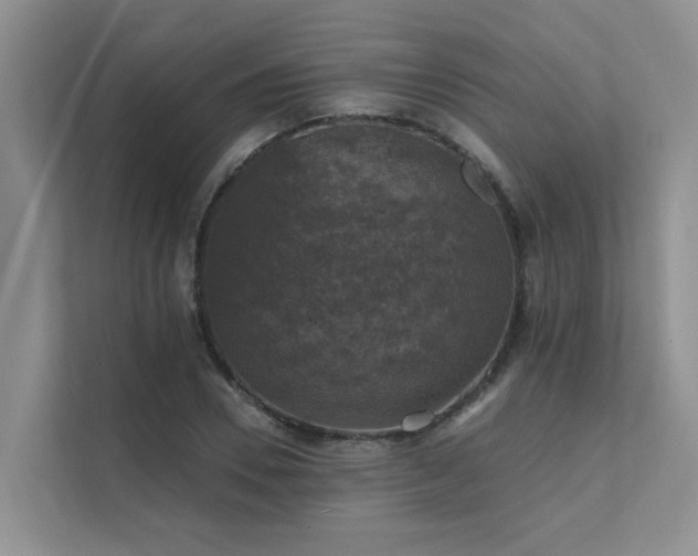 X0000111580930200907161422