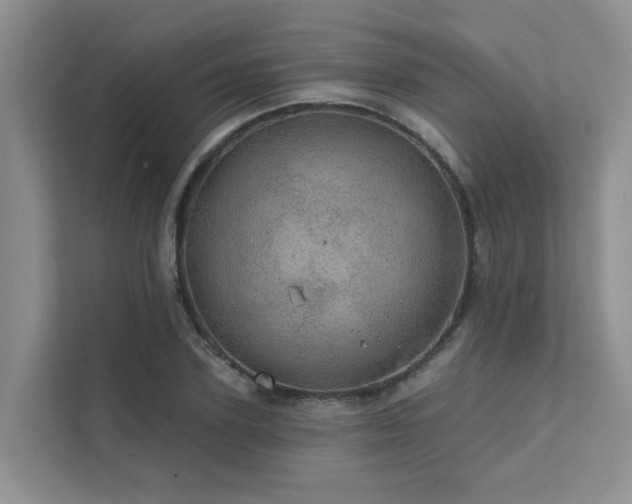 X0000111580931200907161422