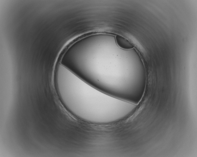 X0000111580932200907161422