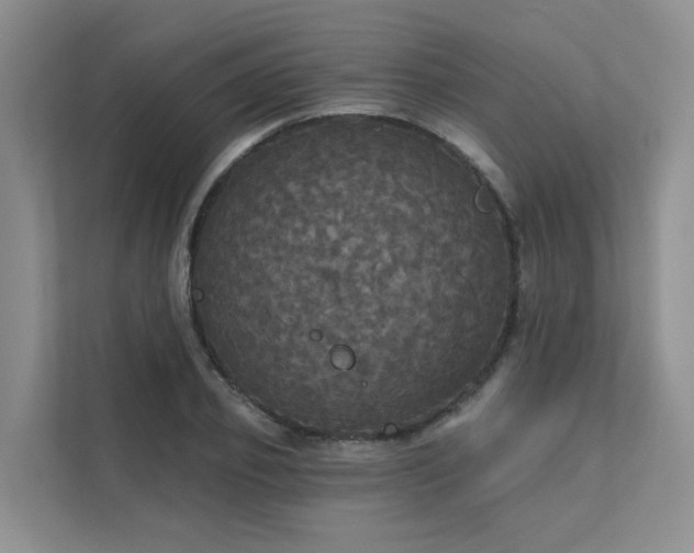 X0000111580933200907161422