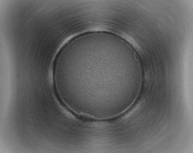 X0000111580934200907161422