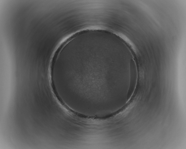 X0000111580935200907161422