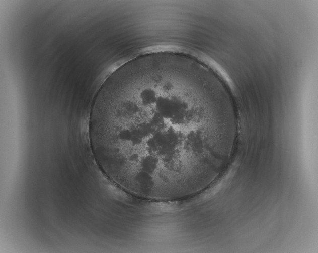 X0000111580937200907161422