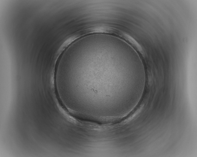 X0000111580938200907161422