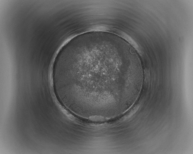 X0000111580939200907161422