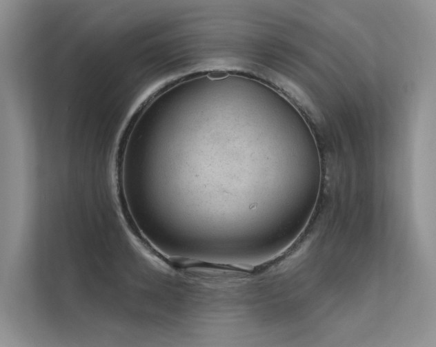 X0000111580942200907161422