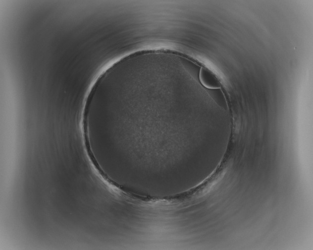 X0000111580943200907161422