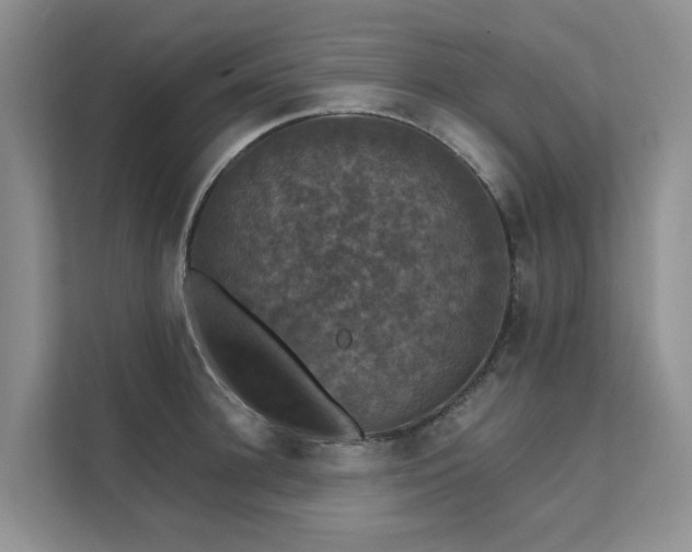 X0000111580948200907161422