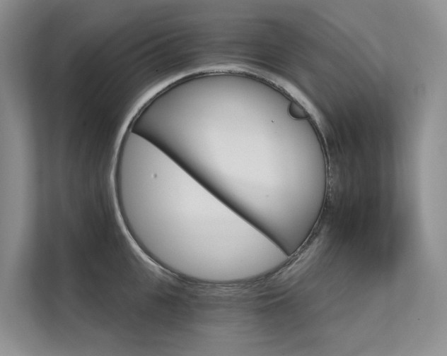 X0000111580951200907161422