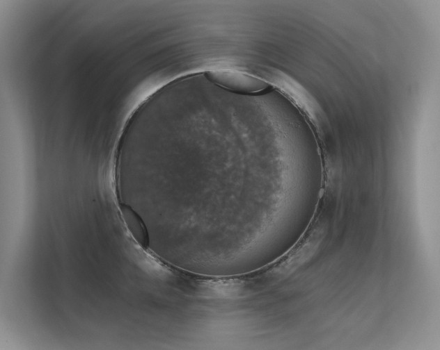 X0000111580952200907161422