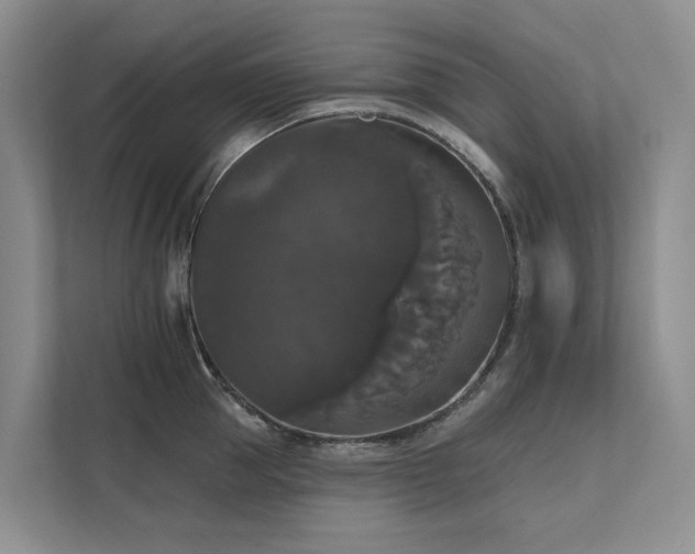 X0000111580953200907161422