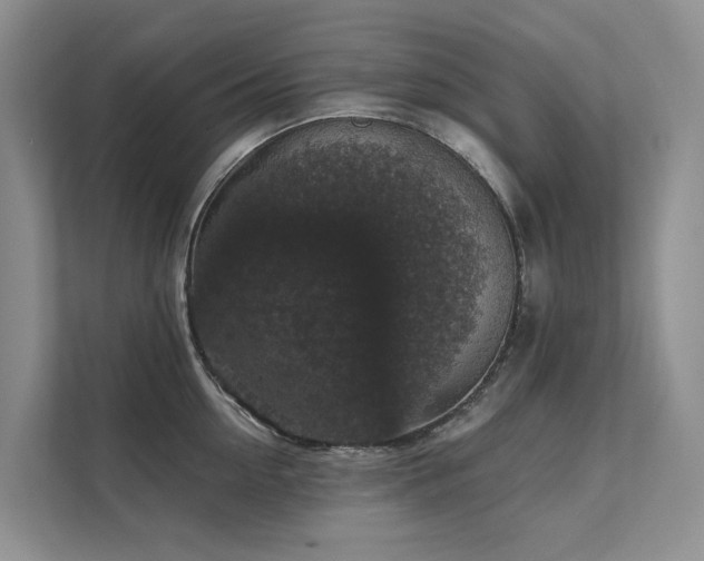 X0000111580954200907161422