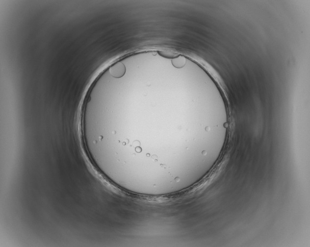 X0000111580957200907161422