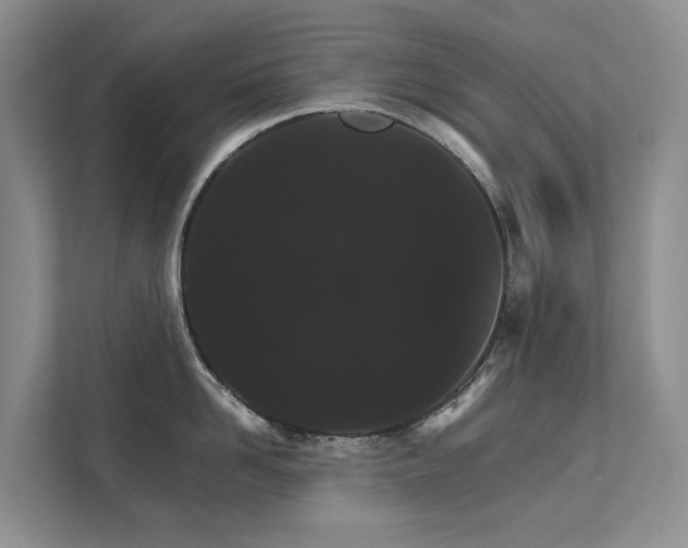 X0000111580958200907161422