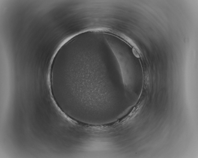 X0000111580959200907161422