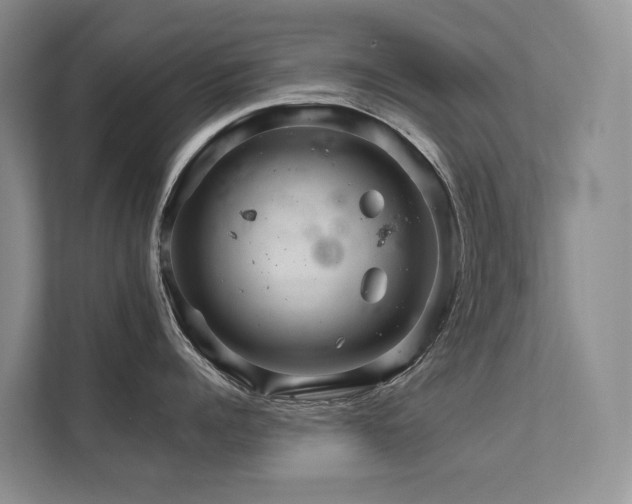 X0000111580960200907161422