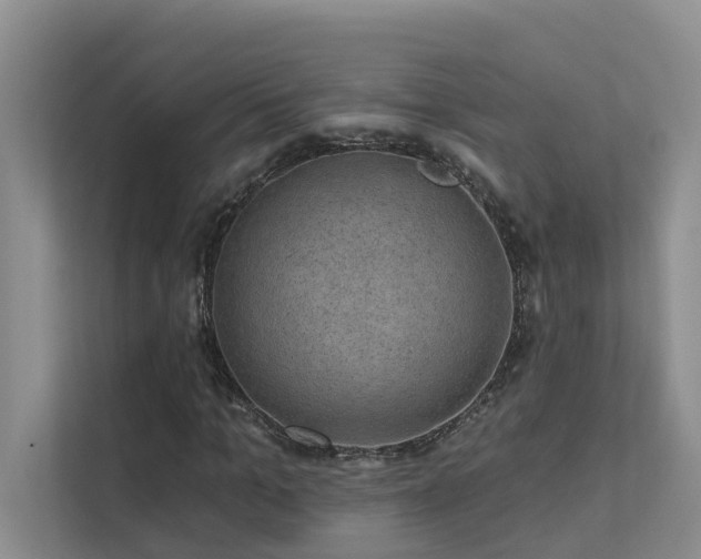 X0000111580965200907161421