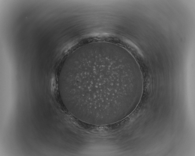 X0000111580966200907161421