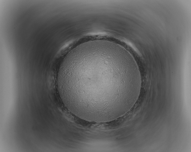 X0000111580967200907161421