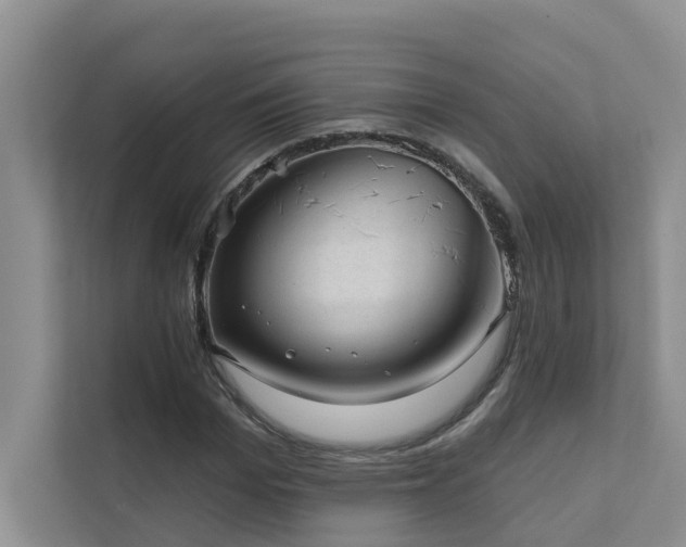 X0000111580969200907161421