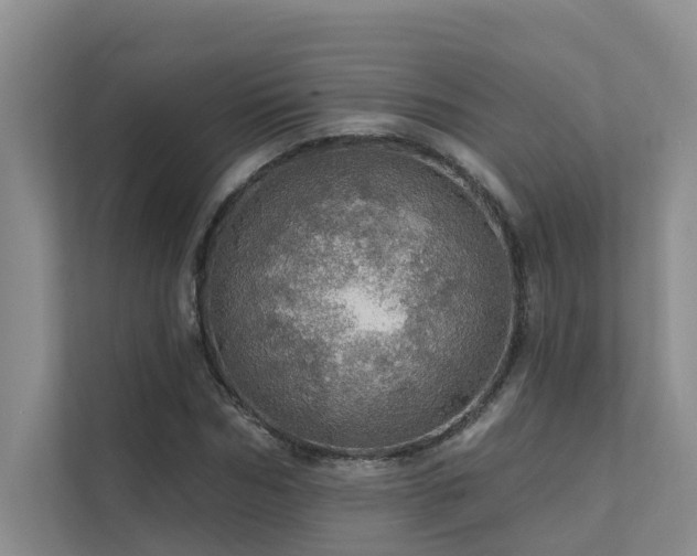 X0000111580970200907161421