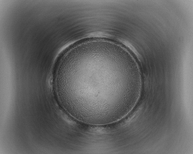 X0000111580971200907161421