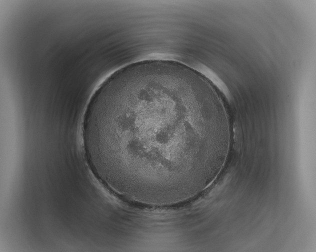 X0000111580972200907161421