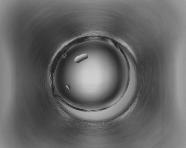 X0000111580973200907161421
