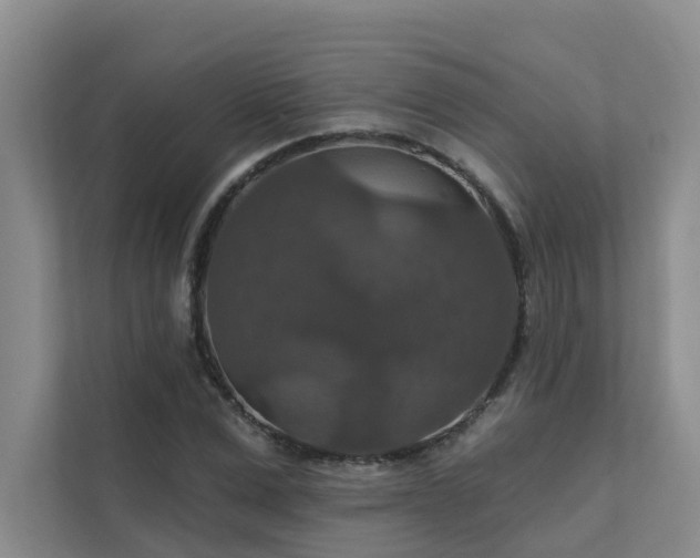X0000111580975200907161421
