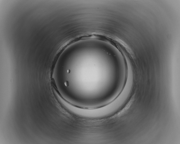 X0000111580977200907161421