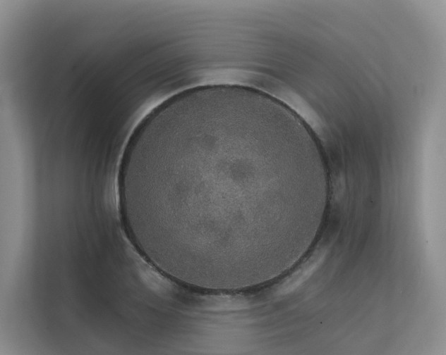 X0000111580980200907161421