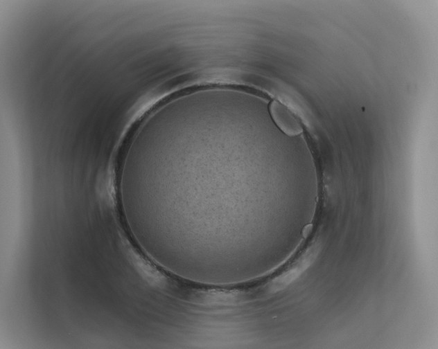 X0000111580981200907161421