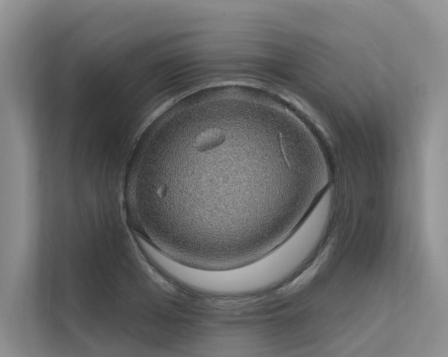 X0000111580985200907161421