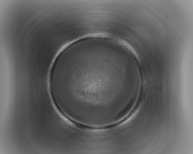 X0000111580989200907161421