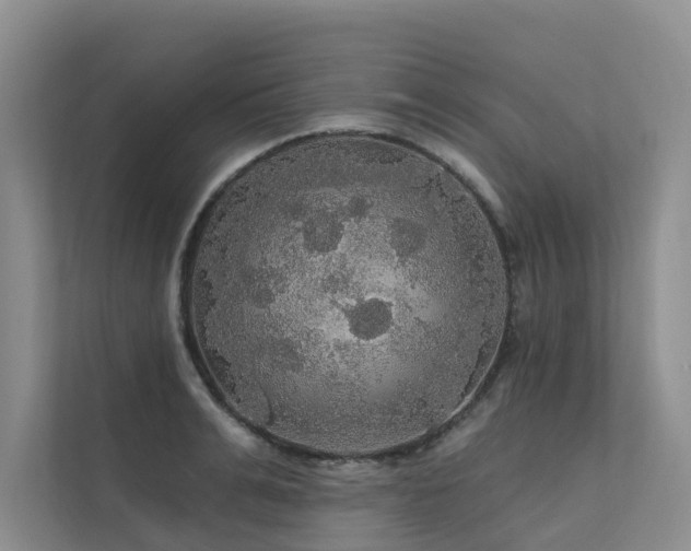 X0000111580991200907161421