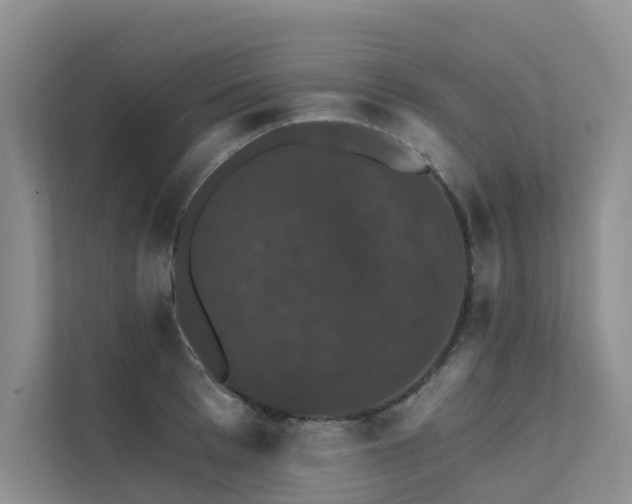 X0000111580993200907161421