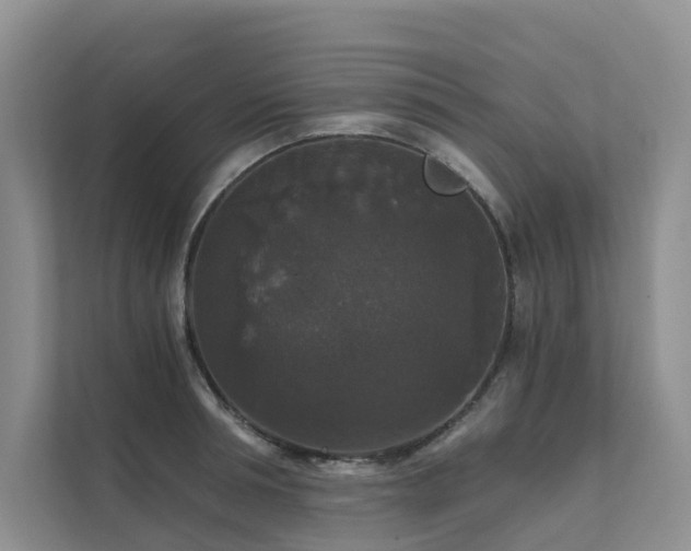 X0000111580994200907161421